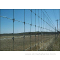 Galvanized Prevent Wire Farm Field Fence